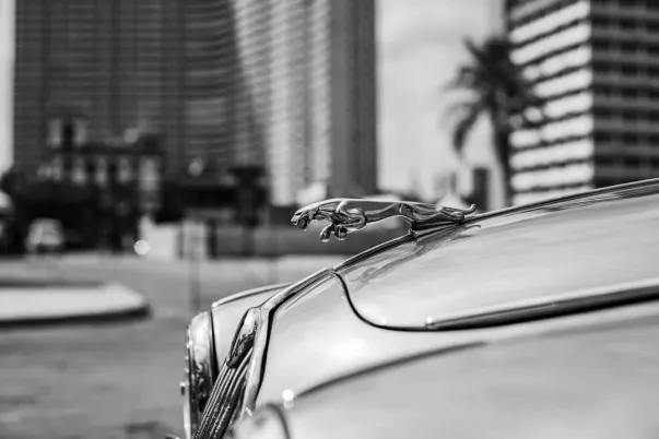 ويجر ويب كازينو تطبيق أندرويد/آي أو إس